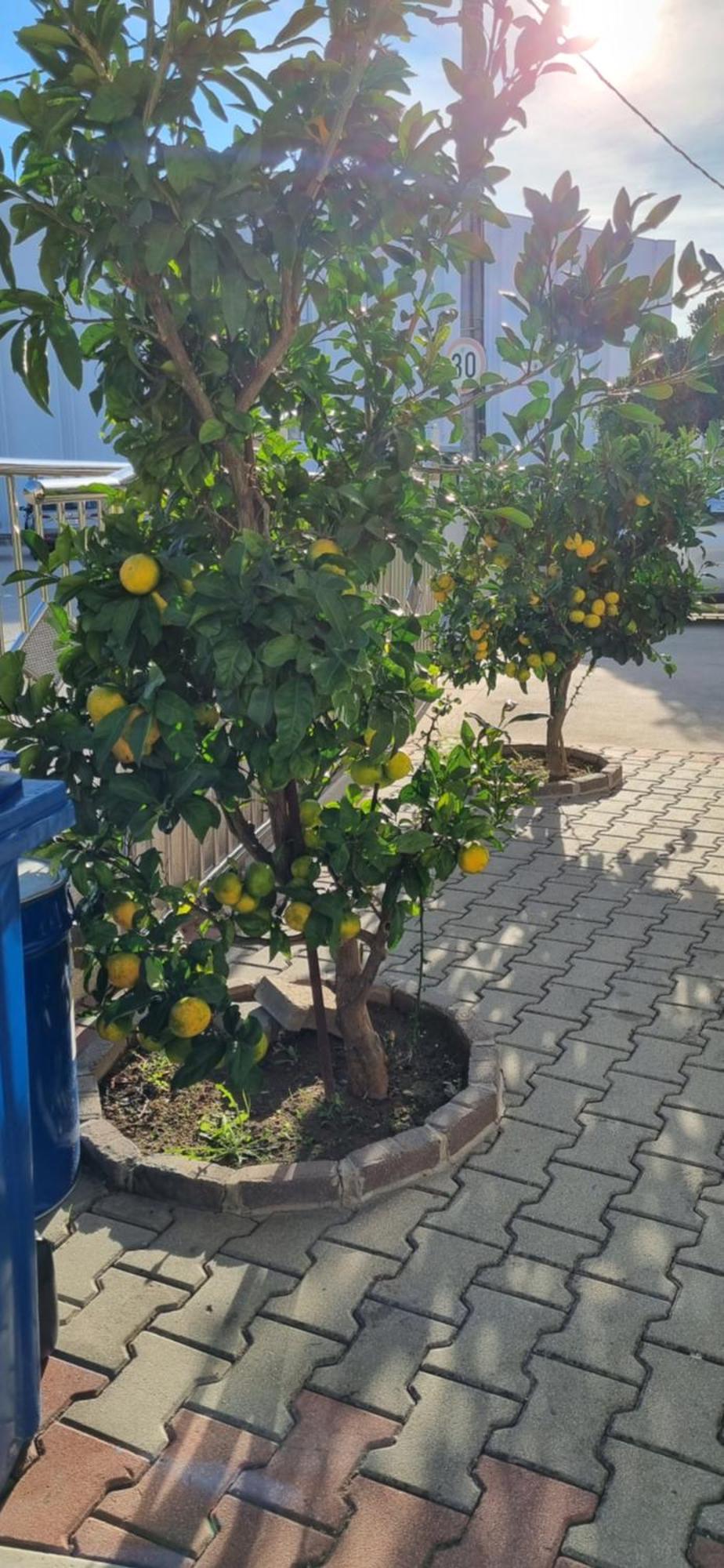 Apartments Strkalj Bibinje Zewnętrze zdjęcie