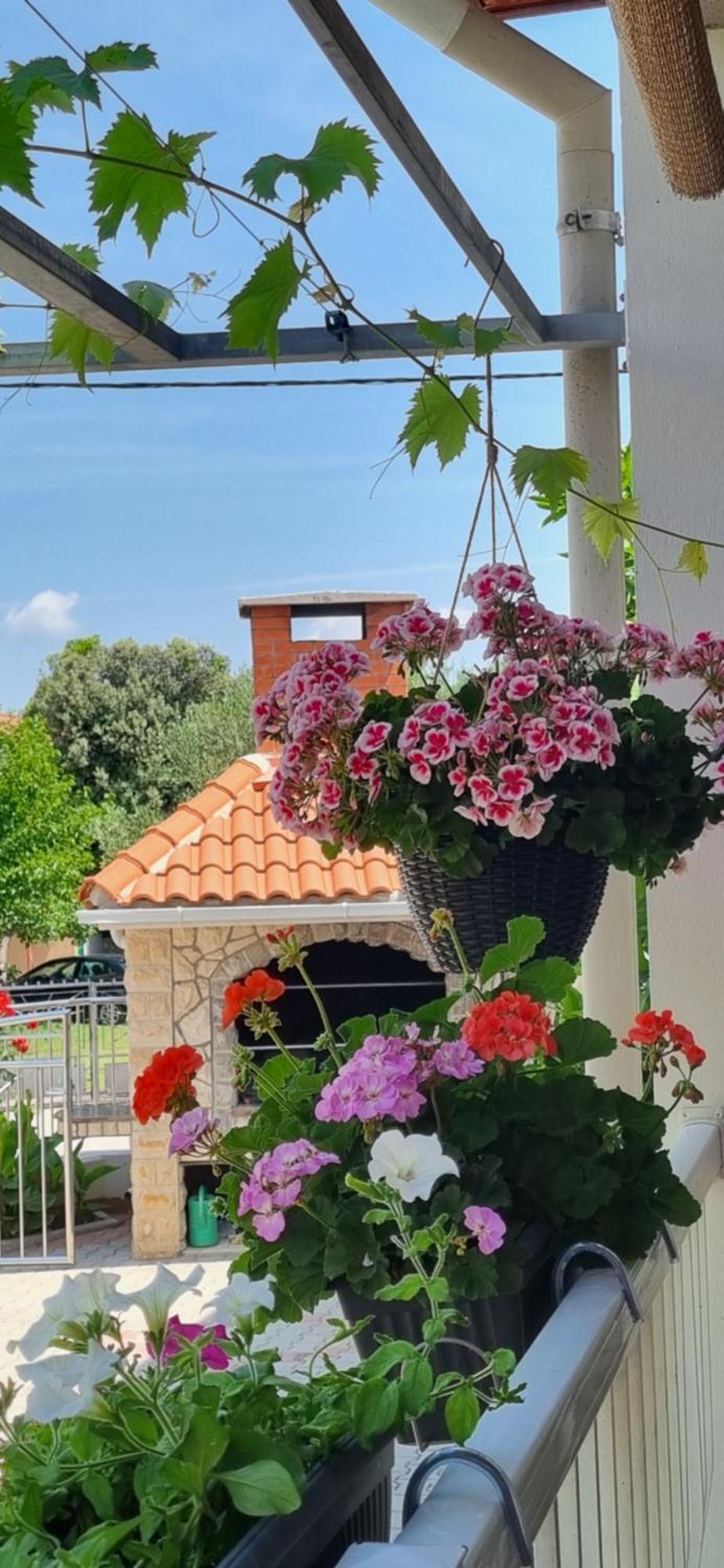 Apartments Strkalj Bibinje Zewnętrze zdjęcie